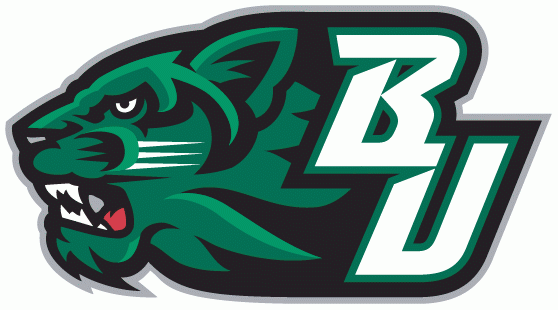 Binghamton Bearcats 2001-Pres Secondary Logo v3 DIY iron on transfer (heat transfer)